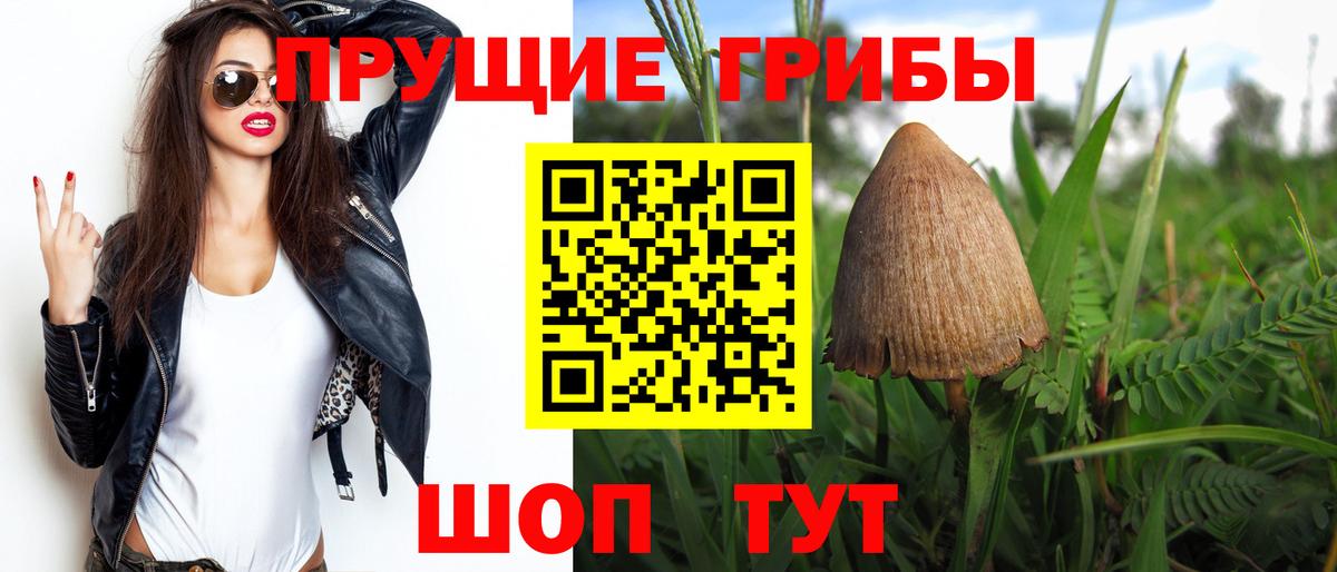 Галлюциногенные грибы GOLDEN TEACHER Гатчина